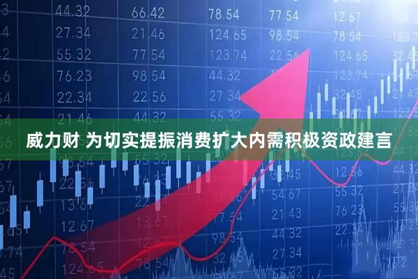威力财 为切实提振消费扩大内需积极资政建言