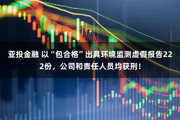 亚投金融 以“包合格”出具环境监测虚假报告222份,公司和责任人员均获刑!