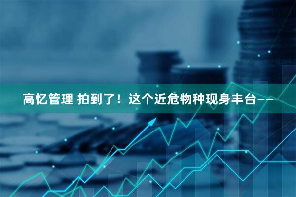 高忆管理 拍到了！这个近危物种现身丰台——