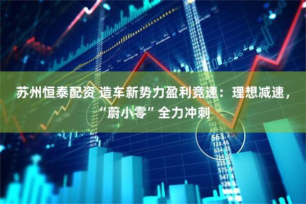 苏州恒泰配资 造车新势力盈利竞速：理想减速，“蔚小零”全力冲刺