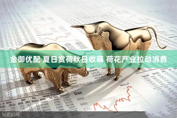 金御优配 夏日赏荷秋日收藕 荷花产业拉动消费