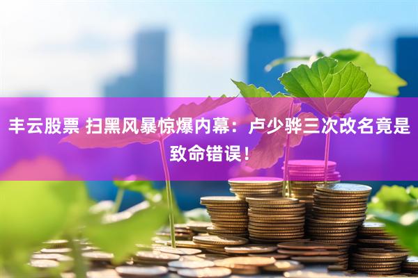 丰云股票 扫黑风暴惊爆内幕：卢少骅三次改名竟是致命错误！