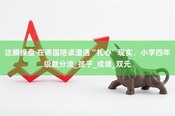 达麟操盘 在德国陪读遭遇“扎心”现实,小学四年级就分流_孩子_成绩_双元