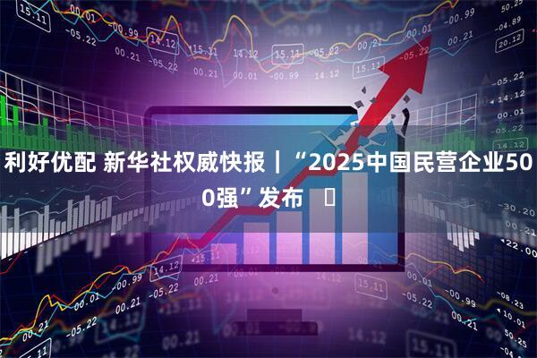 利好优配 新华社权威快报|“2025中国民营企业500强”发布   